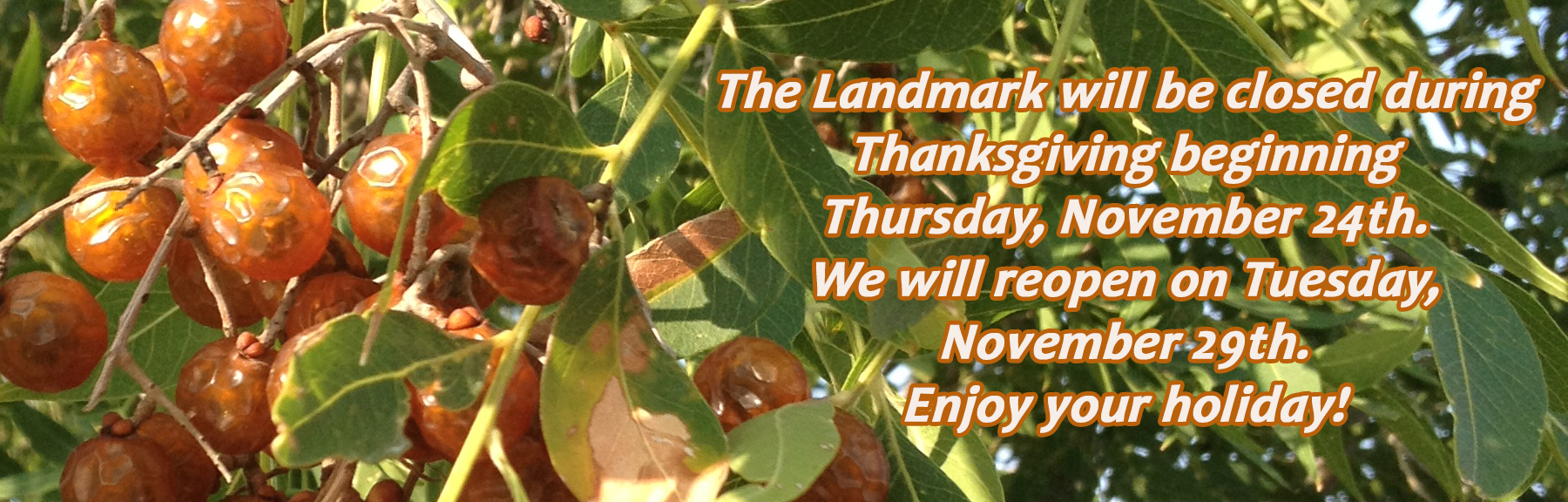 closed November 24 through 28